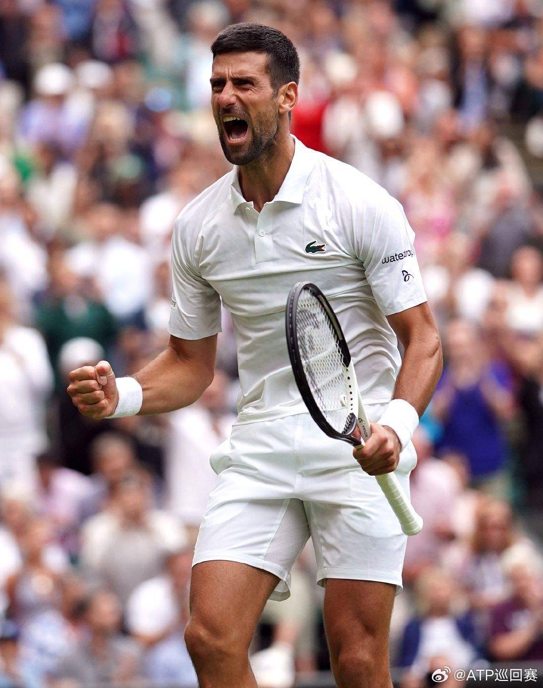 许多这样的 许多这样的